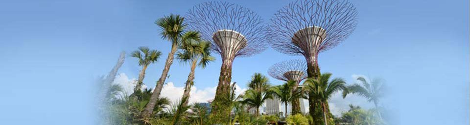 Gardens by the Bay at 18, Marina Gardens Drive - View of supertrees, 27/06/2012