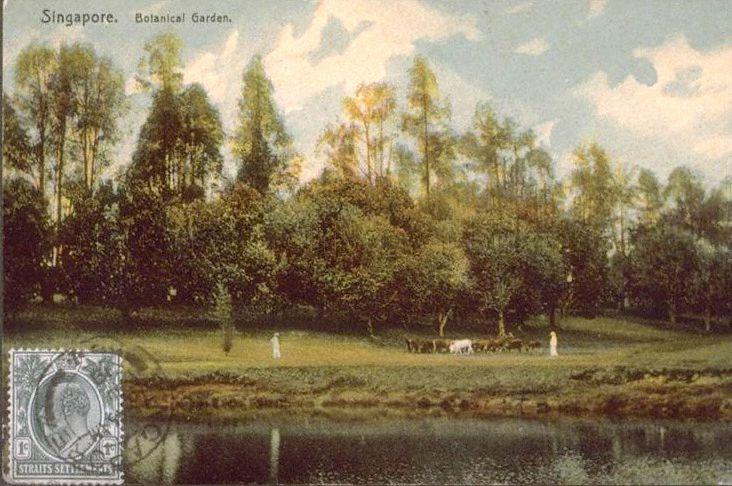 Botanic Gardens in 1900. Source: National Archives