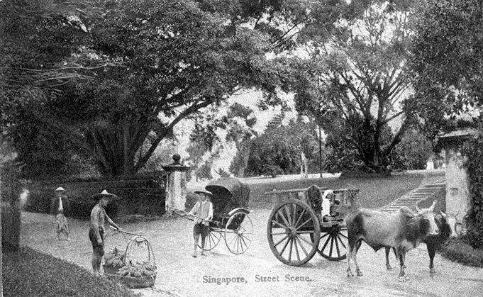 Street scene showing a hawker selling fruits, a rickshaw puller and a bullock cart at the entrance of Teutonia Club