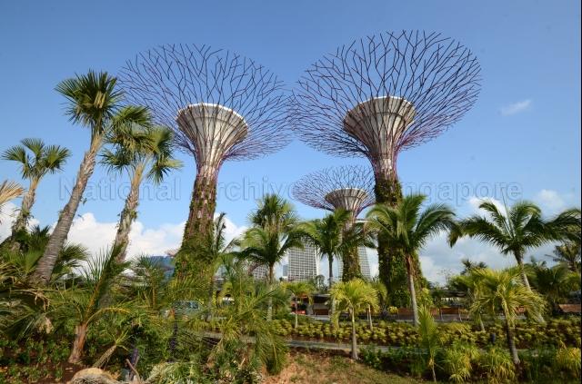 Gardens by the Bay at 18, Marina Gardens Drive - View of supertrees