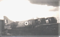 Photograph of a Hawker Tempest 5R-N aircraft