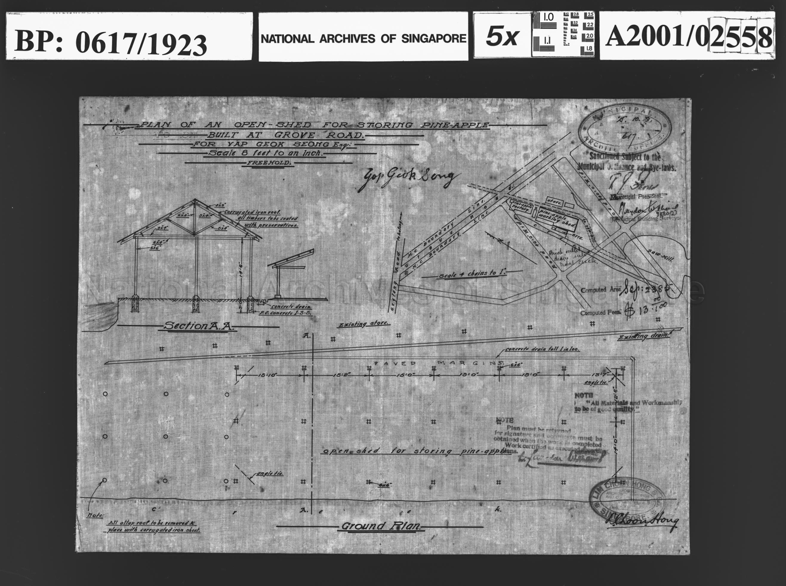 BUILT OPEN SHED FOR STORING PINEAPPLE