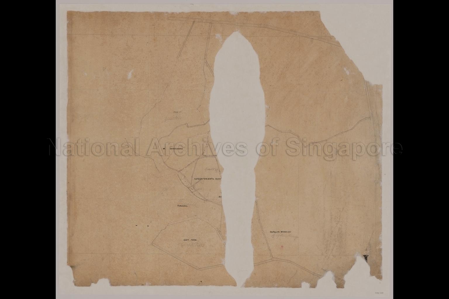 Land around Botanical Gardens, Napier Road