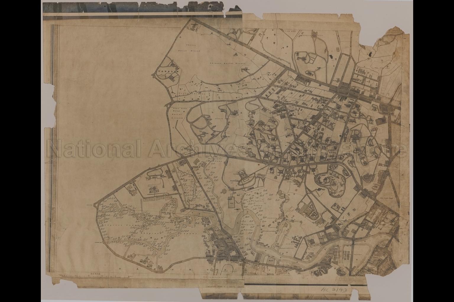 Plan of Singapore Town Showing Topographical Detail and  …