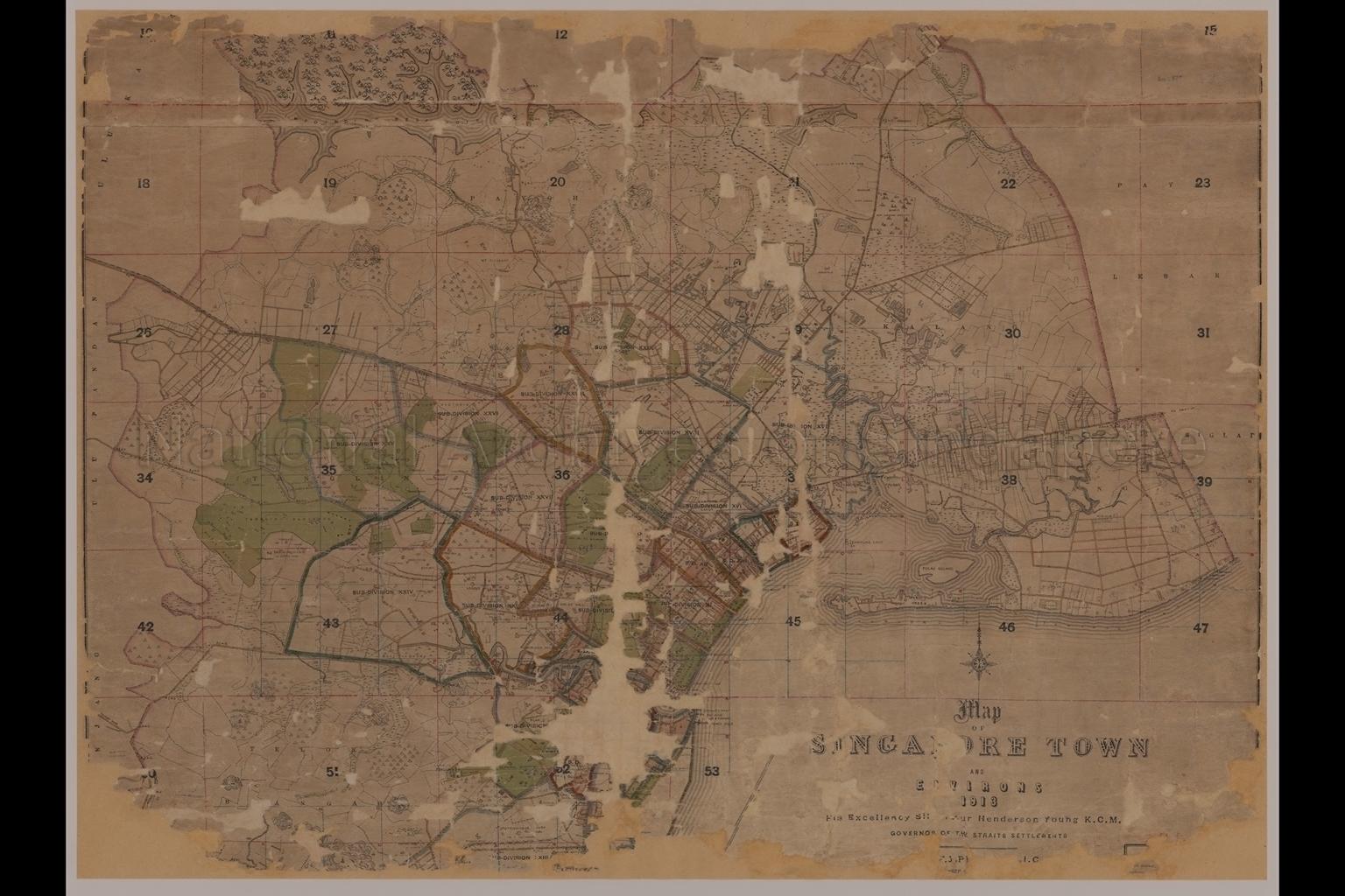 Map of Singapore Town and Environs