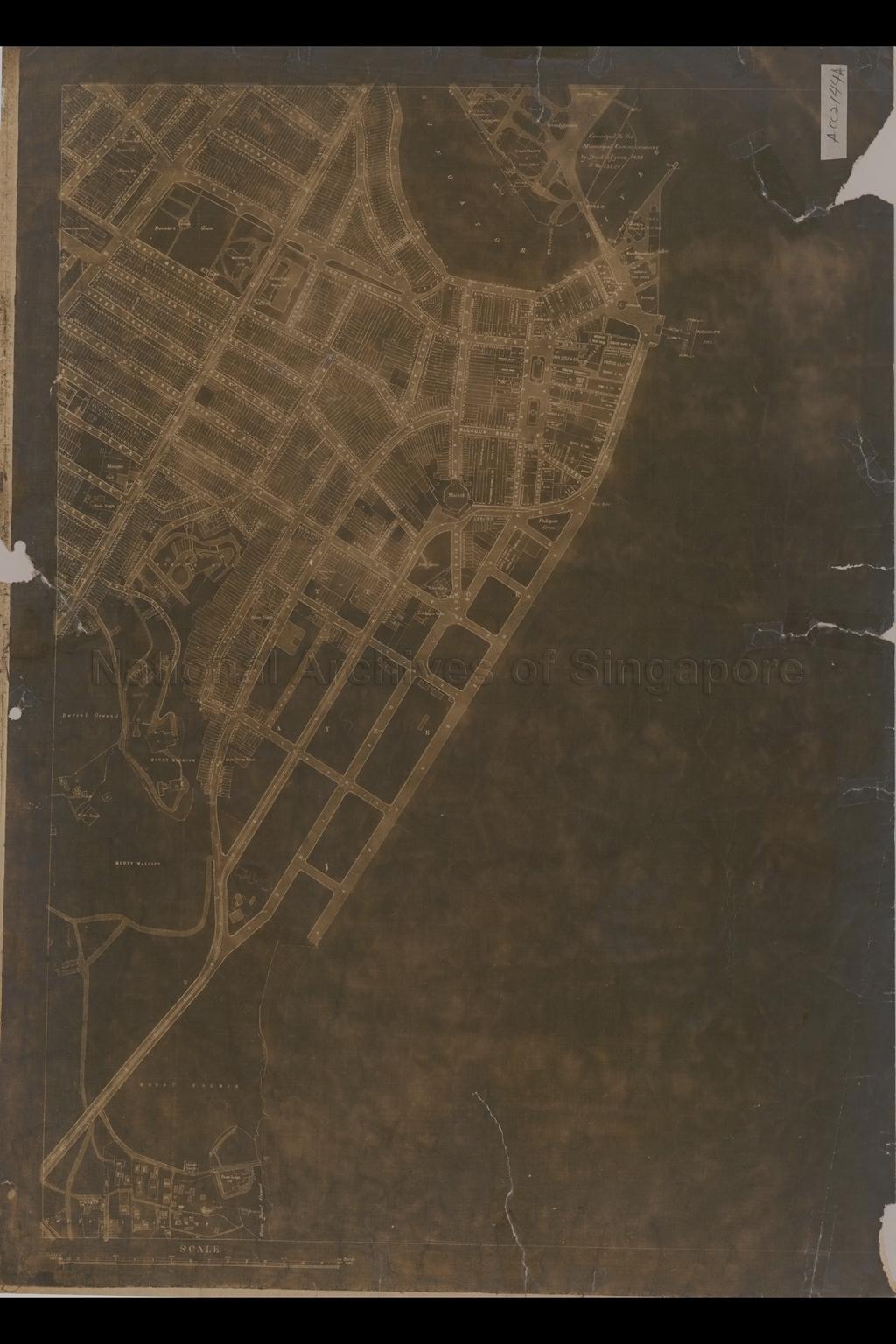 Plan of Singapore Town Showing Topographical Detail and  …