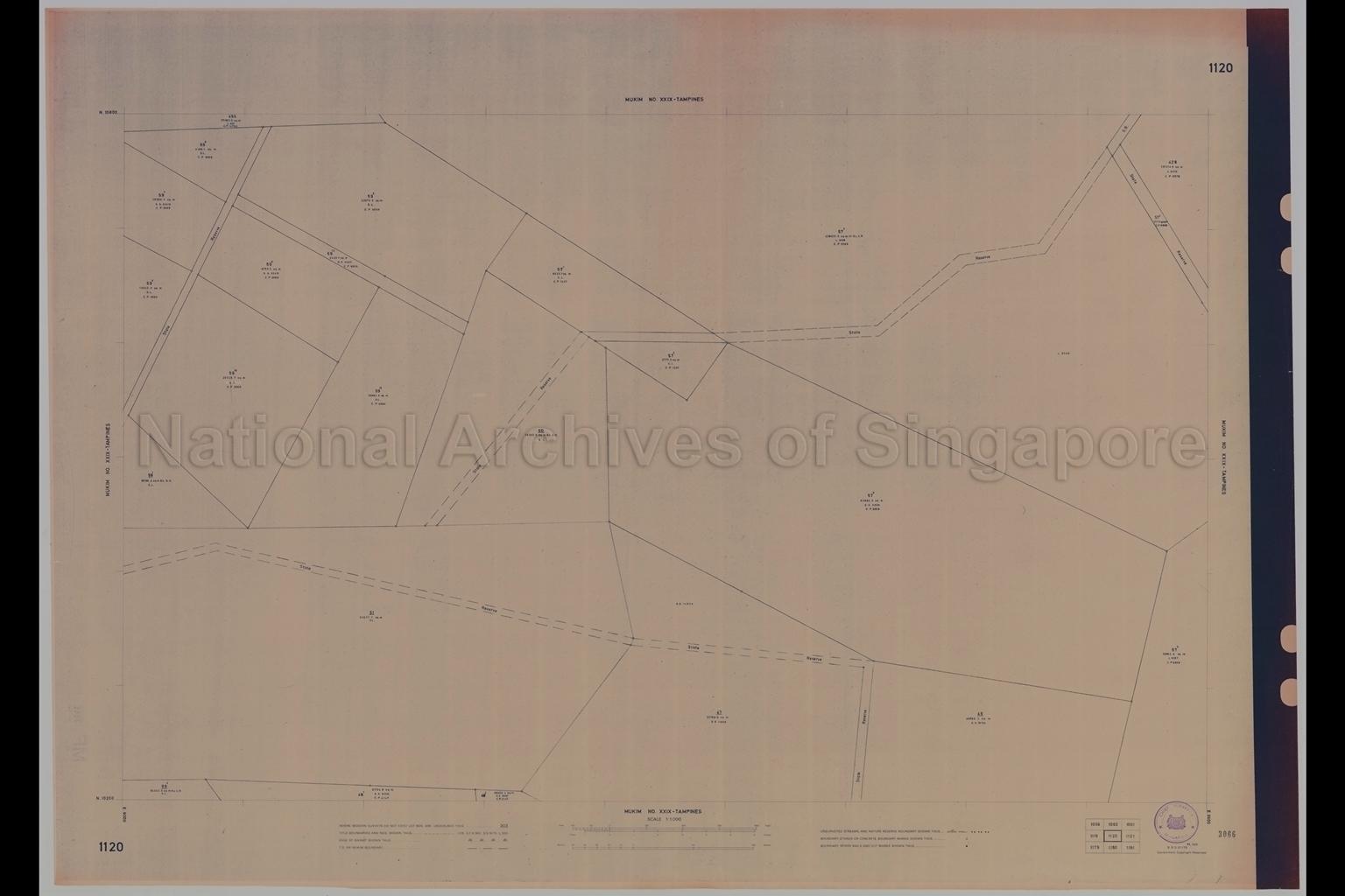 Mukim Number XXIX: Tampines