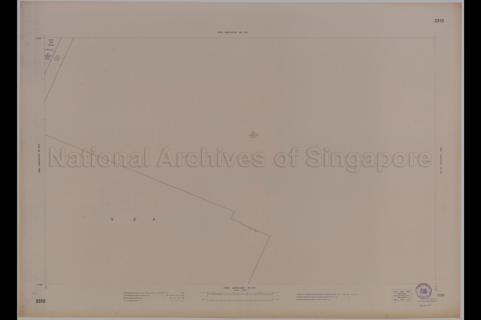 Town Subdivision XXX