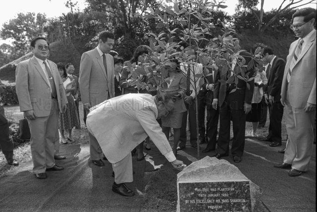 China's President Yang Shangkun, who is on a four-day state visit to Singapore, planting tembusu tree in the Garden of Fame during visit to Jurong Town Corporation. Among those looking on are Deputy Prime Ministers Brigadier-General Lee Hsien Loong and Ong Teng Cheong (right).