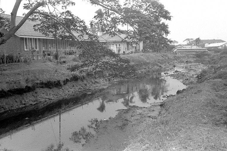 View of Alexandra canal