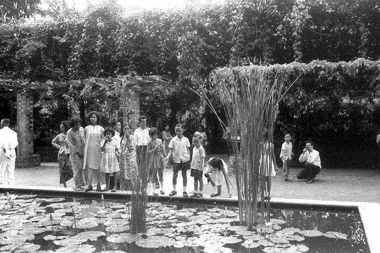 Water lily pond at the Singapore Botanic Gardens during Hari Raya Puasa and the second day of Chinese New Year