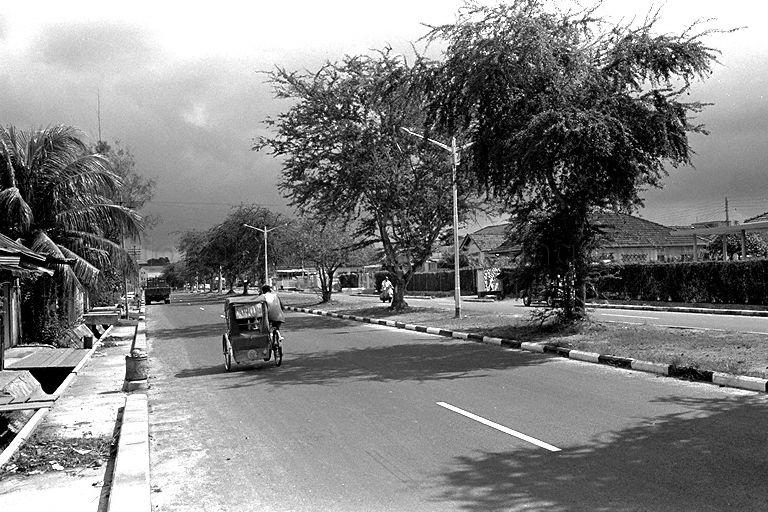 Street scene of Frankel Avenue with a trishaw rider travelling along the road