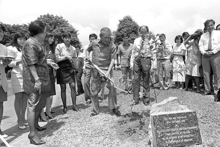 Thai Prime Minister Chatichai Choonhavan, who is on a three-day visit to Singapore, planting a sapling at the grounds of Jurong Town Corporation (JTC)