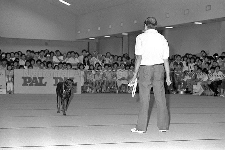 Handler giving commands to his dog at Singapore Kennel Club's 50th Championship Dog Show held at World Trade Centre Hall 6