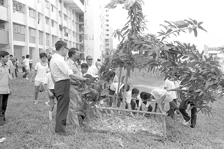 Members of MacPherson Boys' Club doing gardening around Blocks 120 to 124 in Paya Lebar Way on Tree Planting Day as Minister for Home Affairs and Member of Parliament for MacPherson Chua Sian Chin (foreground, centre) looks on