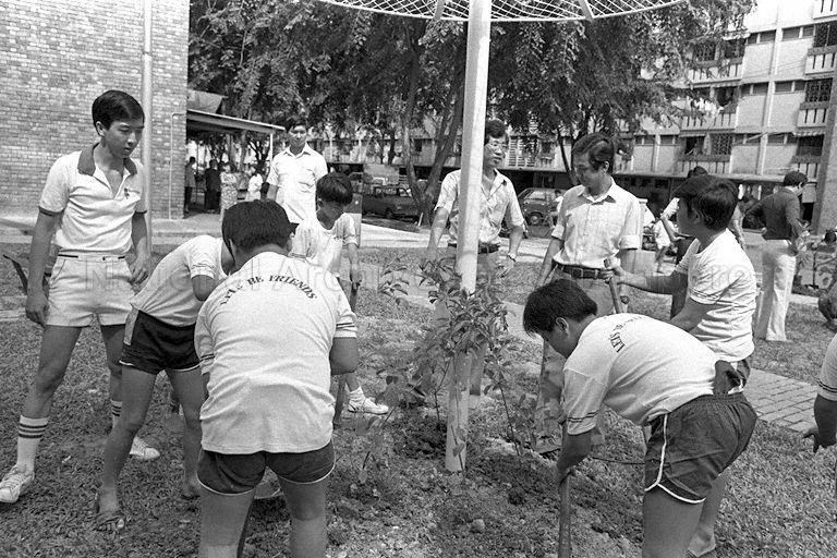 Tree planting at Block 62 in Havelock Road, led by Member of Parliament for Kim Seng constituency Dr Yeo Ning Hong (clockwise, second from pole), on Tree Planting Day. Dr Yeo is also Acting Minister for Communications and Minister of State for Defence.