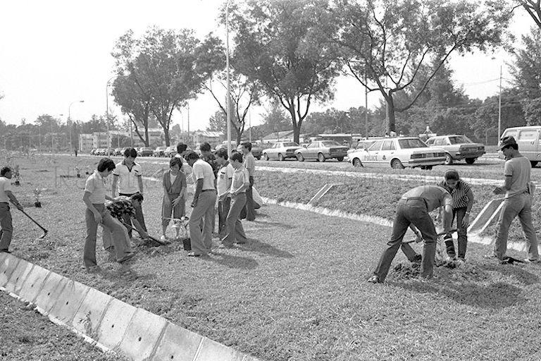 Tree planting at Admiralty Road West, new Gate 1, Bethlehem Shipyard, led by Minister for Trade and Industry and Member of Parliament for Sembawang Dr Tony Tan Keng Yam (not in picture) on Tree Planting Day.