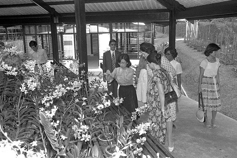 Elizabeth Waldheim, wife of United Nations (UN) secretary-general Dr Kurt Waldheim, is briefed during a walking tour of the Botanic Gardens. Dr Kurt Waldheim who is also accompanied by a six-member UN delegation is here for a three-day official visit to appraise the political and economic developments in the region.
