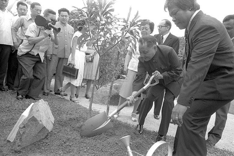 The People's Republic of China Senior Vice-Premier Teng Hsiao-Ping (Deng Xiaoping) planting a pong pong tree at Jurong Hilltop during his visit to Jurong Town Corporation while on a three-day visit to Singapore as part of a three-nation tour of South-East Asia that includes Thailand, Malaysia and Singapore