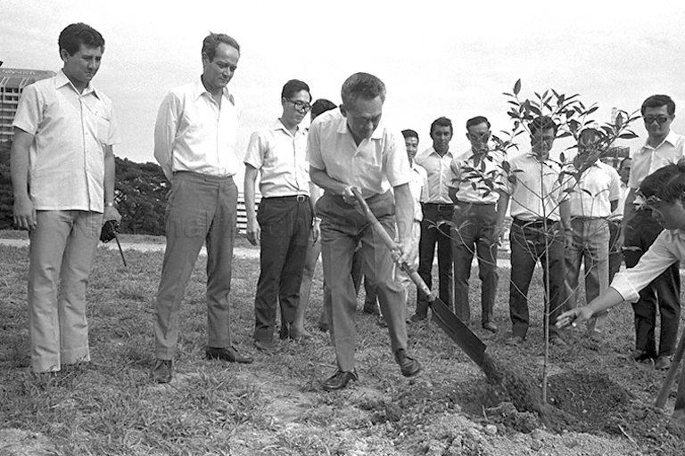 Prime Minister Lee Kuan Yew planting a tree