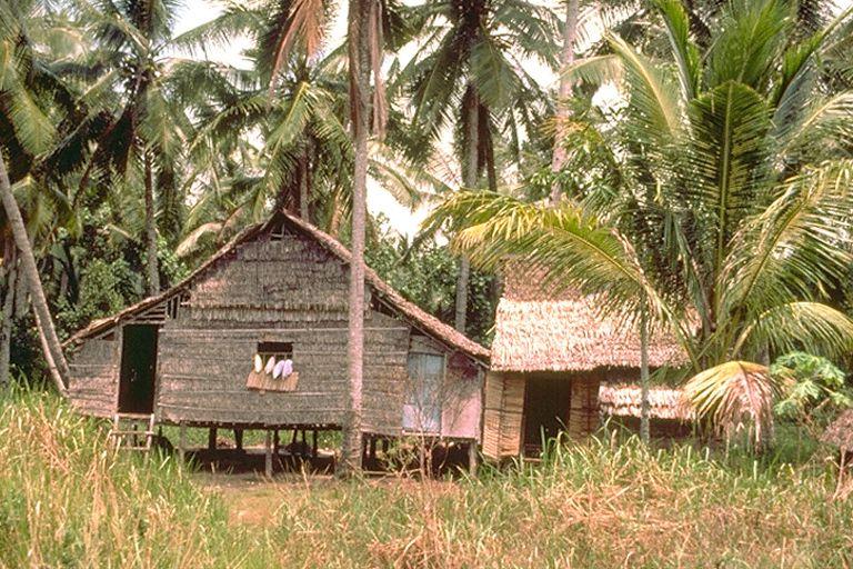 Malay house at Kampong Permatang, Pulau Tekong