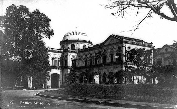 The Raffles Museum (formerly known as Raffles Library and Museum before 1960 and currently, National Museum of Singapore) at Stamford Road