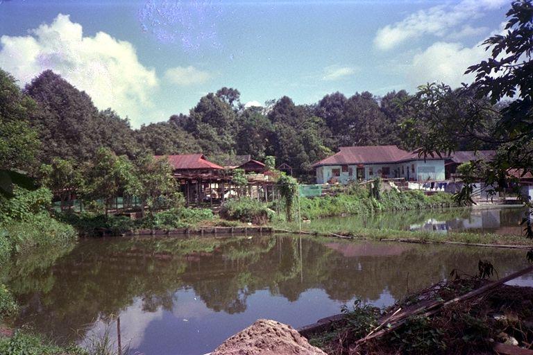 Ulu Sembawang Kampong houses and fish ponds