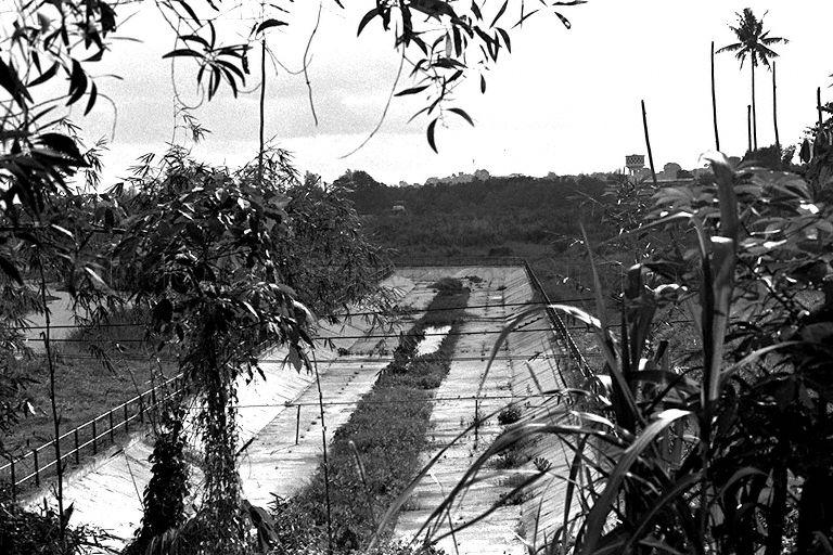 KAMPONG LOYANG - SUNGEI SELARANG