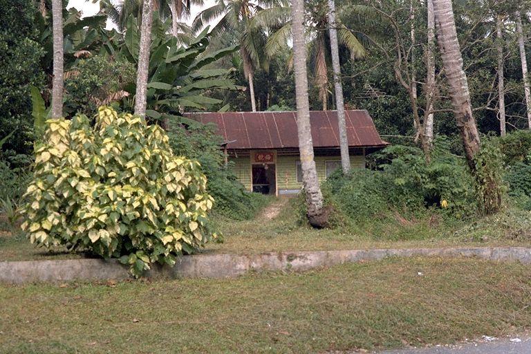 Kampong House belonging to members of the Neo clan, Yio Chu Kang Village, based on the tang hao, Mei Jing hung above the front door. From the description, likely this house is located near the end of Track 14 towards Kampong Pengkalan Petai.