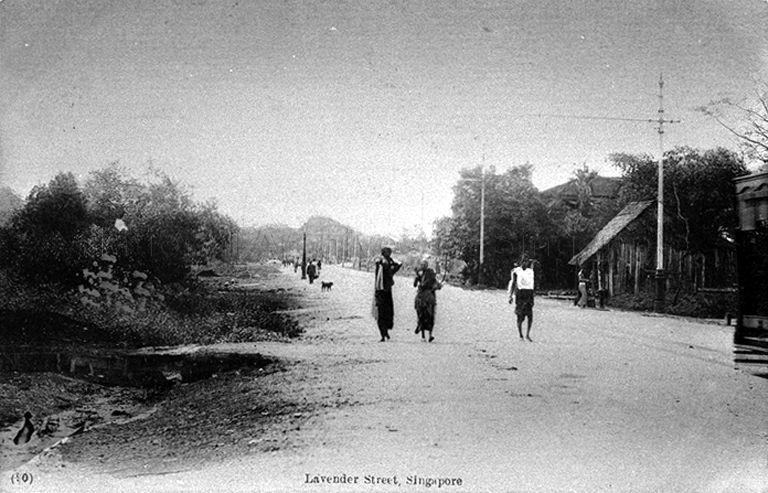Lavender Street, Singapore, near Kallang Road junction, with both sides of the road covered by mangrove swamps