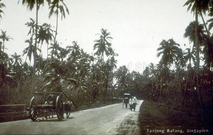 View of road in Tanjong Katong, on east coast of Singapore, with bullock-cart (left) and rickshaw which were common modes of transport at that time