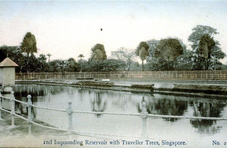 Mount Emily Reservoir, a municipal reservoir along Upper Wilkie Road. Part of the reservoir was converted in 1931 into Singapore's first public swimming pool and also the first pool that used fresh water.