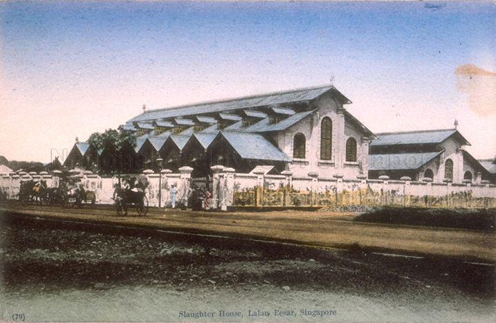 The Municipal Abattoir at Jalan Besar, Singapore. Began operating in 1894, the slaughterhouse was set up to control unlicensed slaughtering.