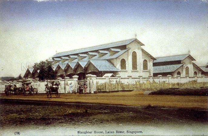 The Municipal Abattoir at Jalan Besar, Singapore. Began operating in 1894, the slaughterhouse was set up to control unlicensed slaughtering.