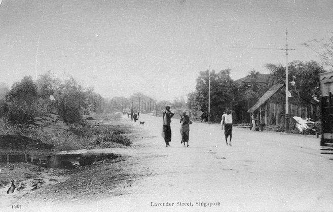 Lavender Street, Singapore, near Kallang Road junction, with both sides of the road covered by mangrove swamps