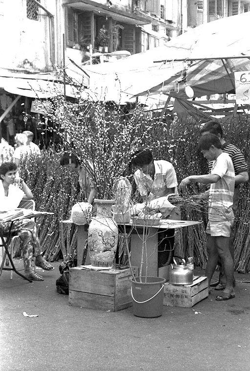 Stallholder selling pussy willows during Chinese Lunar New Year at Chinatown