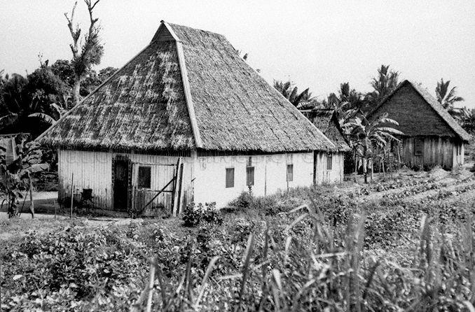 Vegetable farm at Jalan Kayu/Seletar Area Village. Very old chinese kampong attap houses at Jalan Kayu in Seletar, with the residents engaged in vegetable farming. Note the very high angle of the attap roof of the house in the foreground, it likely was built before WW2.