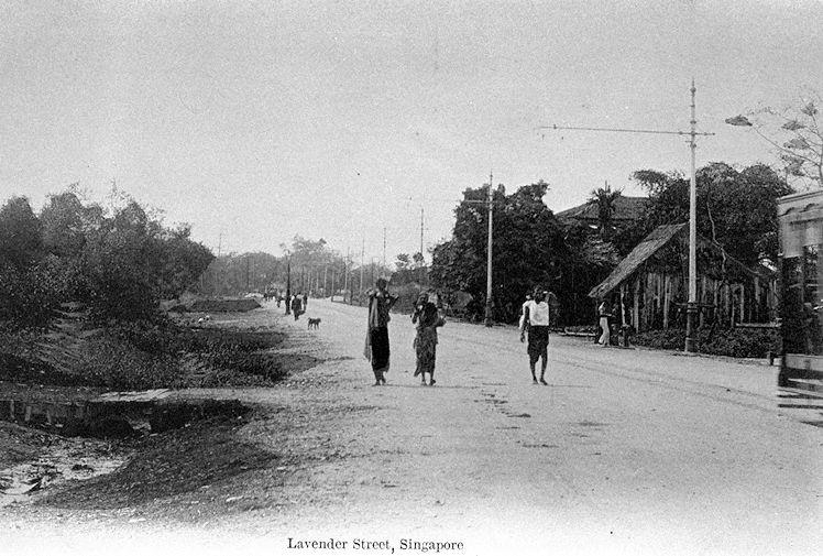 Lavender Street, near Kallang Road junction, with both sides of the road covered by mangrove swamps.