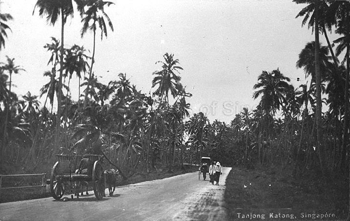 View of road in Tanjong Katong, on east coast of Singapore, with bullock-cart (left) and rickshaw which were common modes of transport at that time