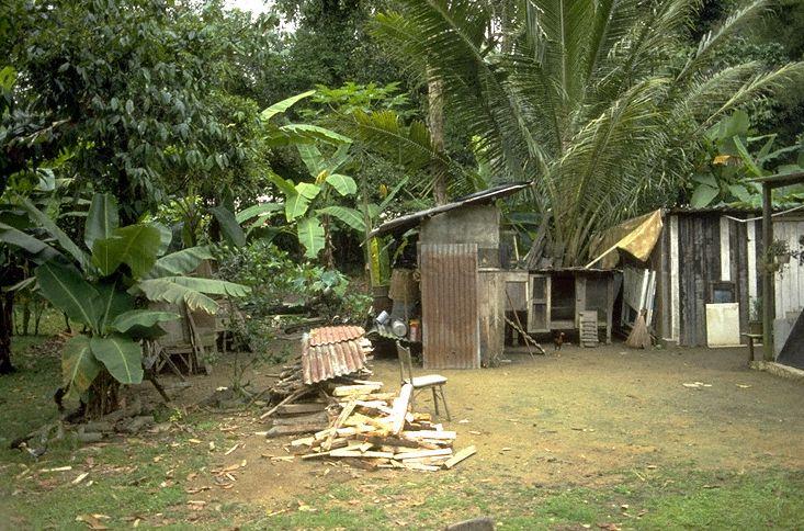 A hut in the vicinity of Istana Woodneuk at Tyersall Park, an area bounded by Holland Road and Tyersall Avenue