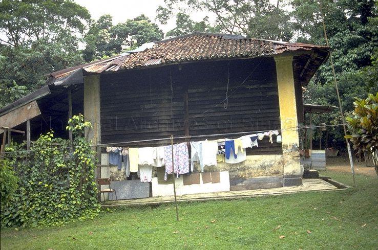 A hut in the vicinity of Istana Woodneuk at Tyersall Park, an area bounded by Holland Road and Tyersall Avenue