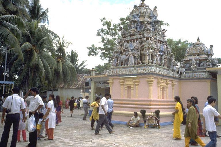 Devotees at the Holy Tree Sri Balasubramaniam Indian Temple in Canberra Road during the Panguni Uthiram Festival which takes place on the full moon of the Tamil month of Panguni. The temple has relocated to Yishun Industrial Park A, Yishun Avenue 7.