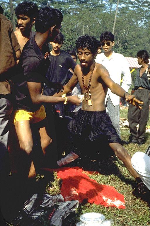 Devotee in ritual during the Panguni Uthiram Festival which is being celebrated on the full moon of the Tamil month of Panguni at the Holy Tree Sri Balasubramaniam Indian Temple in Canberra Road. The temple has relocated to Yishun Industrial Park A, Yishun Avenue 7.
