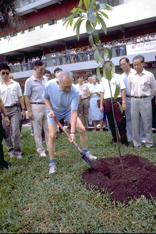 PRIME MINISTER LEE KUAN YEW PLANTING A SAPLING DURING TREE