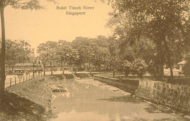 View of canal at junction of Bukit Timah Road (left) turning right into Kampong Java Road. In the background on the left are the Bukit Timah filter beds.