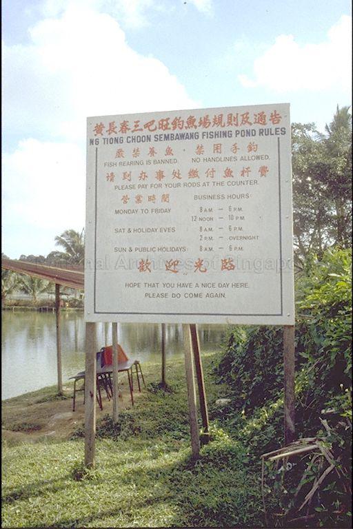 NG TONG CHOON'S FISHING PONDS AT SEMBAWANG