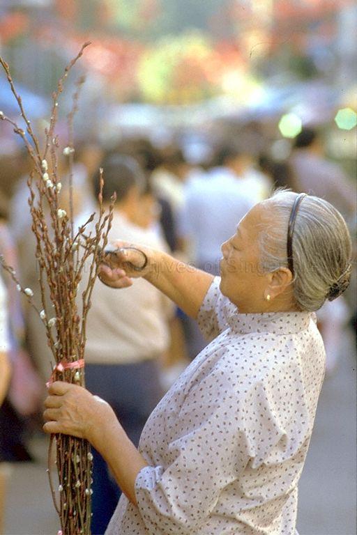 An elderly lady trimming pussy willows during Chinese New Year at Chinatown