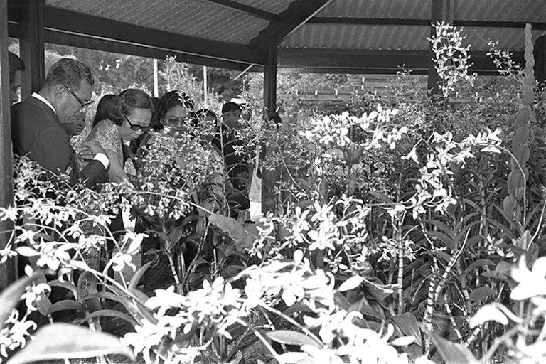 Mrs Tien Suharto (partially hidden), wife of Indonesian President, accompanied by Mrs Lee Kuan Yew, wife of Prime Minister and  Deputy Commissioner of Parks and Recreation A G Alphonso touring the Botanic Gardens during her three-day state visit to Singapore