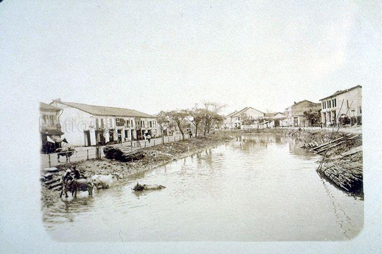 Rochor River flowing between Sungei Road on the left and Rochor Canal Road on the right. Buffaloes, as seen bathing in river in the picture, were kept by the local Indian community in the area, which was how the name of nearby Kandang Kerbau or "buffalo pen" came about.