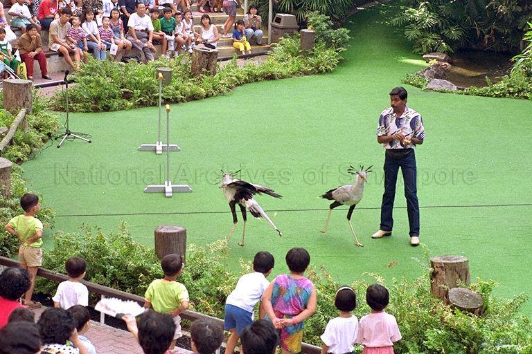 Families enjoying a bird show at the People's Action Party (PAP) Community Day 1993 at Jurong Bird Park